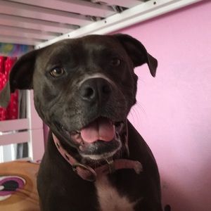 Meet your Posher, Jade